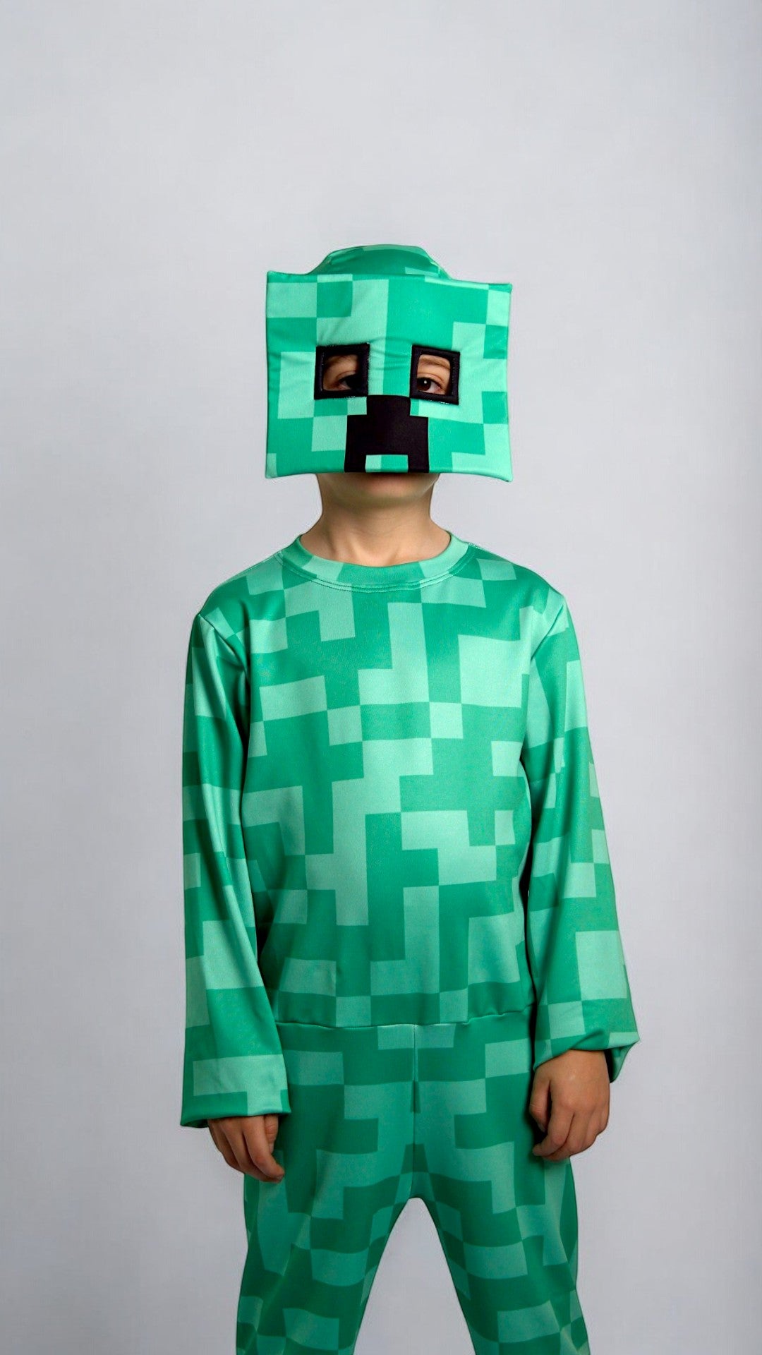 Disfraz Minecraft